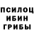 Псилоцибиновые грибы прущие грибы Maxim Mernes