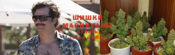 шишки Киреевск