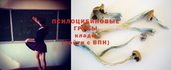 дживик Карпинск