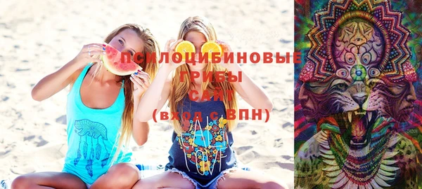 шишки Киреевск