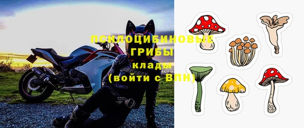 шишки Киреевск