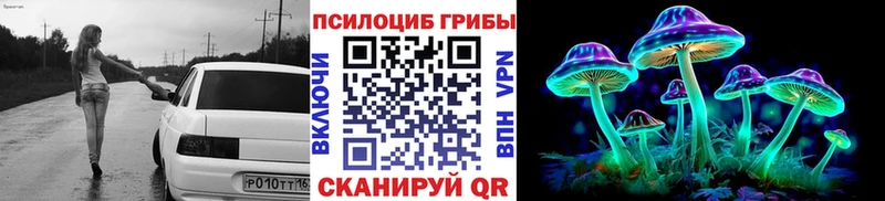 Купить закладки  Карачаевск  Псилоцибиновые грибы прущие грибы 