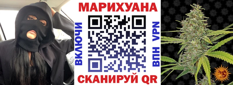 Канабис план  Купить закладки  Карачаевск 